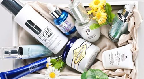 化妆品连锁加盟排行榜 品牌实力与市场机遇解析